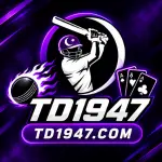 TD1947 Game