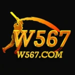 W567 Game
